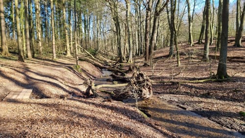 Dalbekschlucht Rundweg