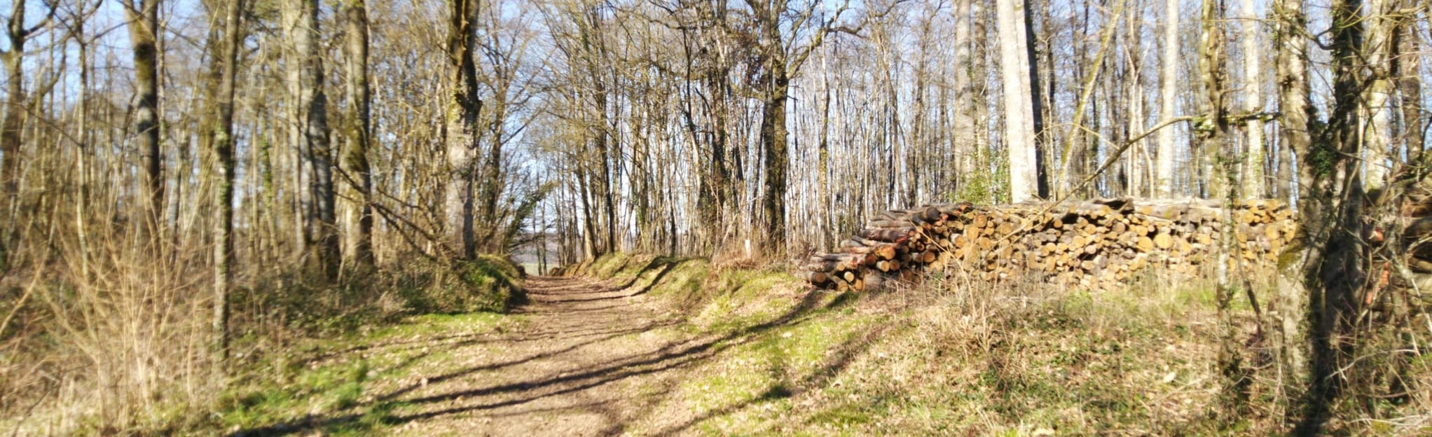 NuilléleJalais Le Parc, Sarthe, France 2 Reviews, Map AllTrails