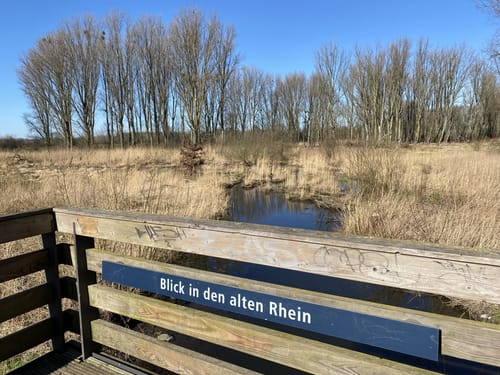 Entdeckerschleife Baumberger Aue