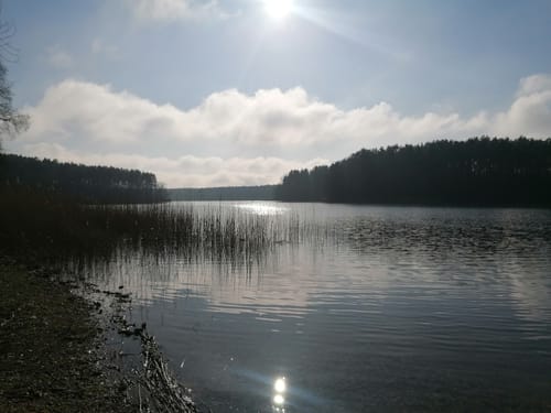 Von Carwitz um den Dreetzsee