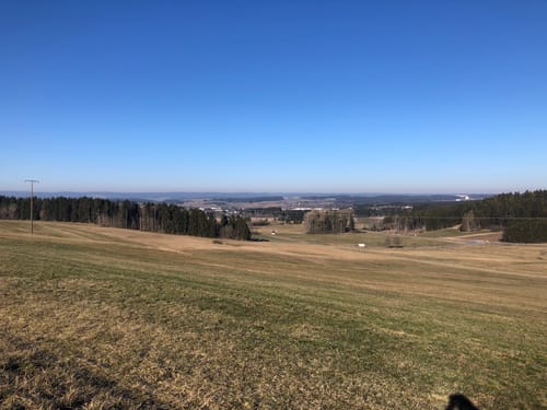 Waldcafe nach Hochemmingen