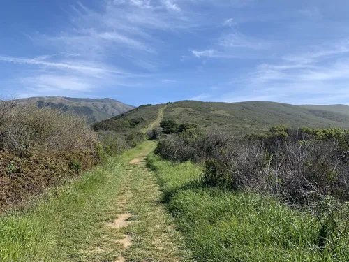 Andrew molera trail clearance campground