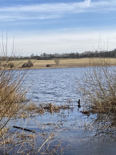 Ulmener Weiher und Maar