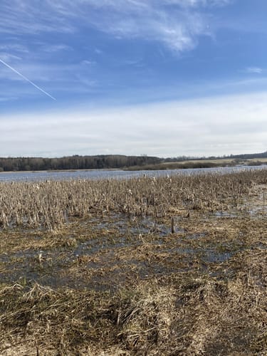 Ulmener Weiher und Maar