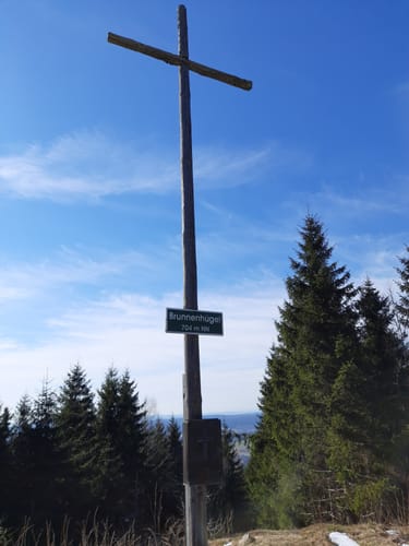 Brunnenhügel ab Hinternah