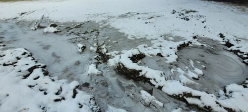 Höhner Acht (Teil 2): Seerunde