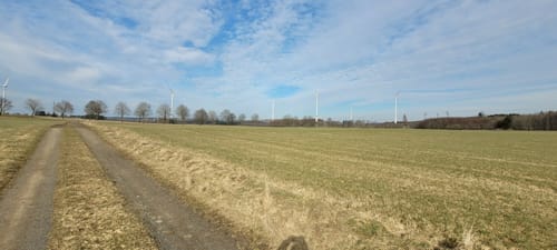 Höhner Acht (Teil 2): Seerunde