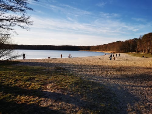Bernau - Schönower Heide - Schönwalde