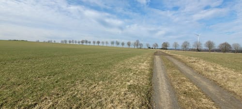 Höhner Acht (Teil 2): Seerunde