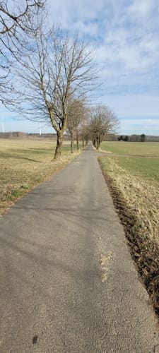 Höhner Acht (Teil 2): Seerunde