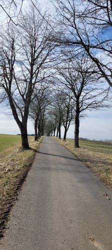 Höhner Acht (Teil 2): Seerunde