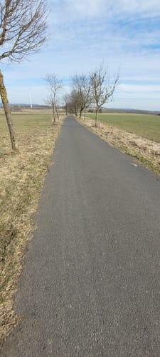 Höhner Acht (Teil 2): Seerunde