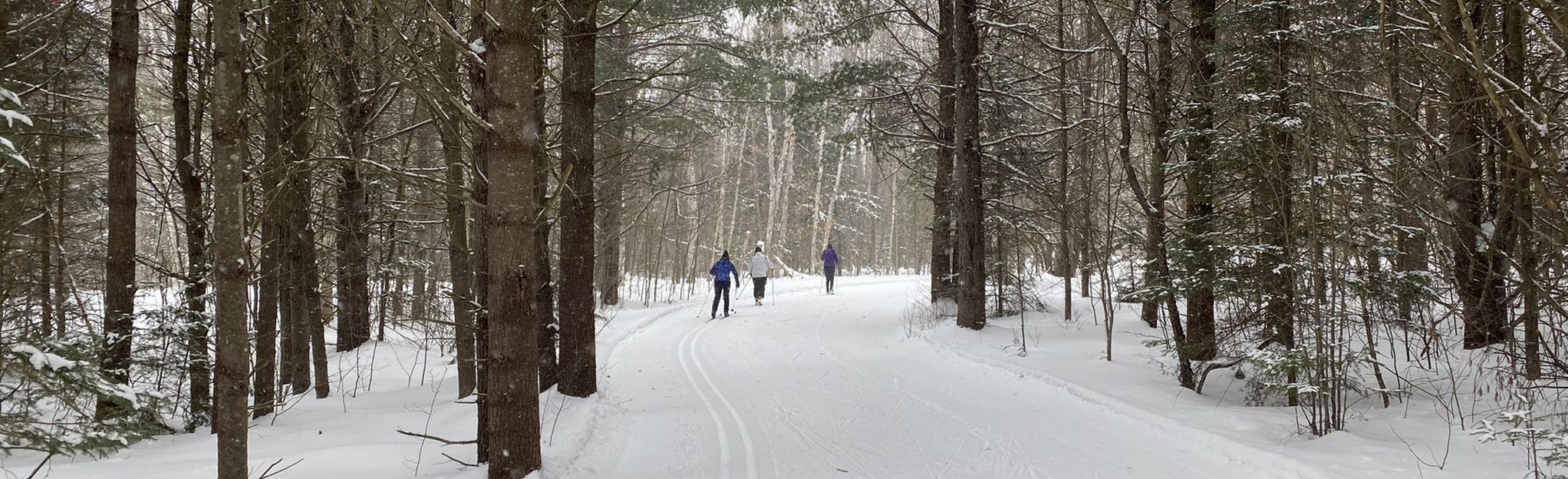 Partridge Trail, Ontario, Canada - 22 Reviews, Map | AllTrails