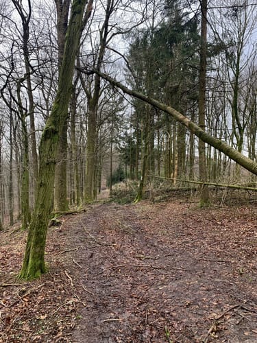 Herrmannsweg Etappe 4: Bad Iburg - Borgholzhausen