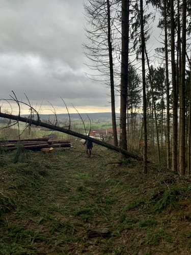 Herrmannsweg Etappe 4: Bad Iburg - Borgholzhausen