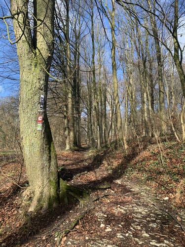 Hermannsweg Etappe 5: Borgholzhausen - Bielefeld