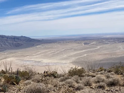 BALLISTICS◇LOWER CHAIR◇COYOTE peak Coyote Reactive Target - Small - Atlas Target Works