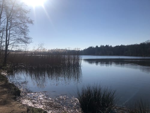 Zwart Water Witte Wandelroute