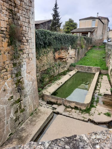 Saint-Macaire : les meilleures randonn&eacute;es et itin&eacute;raires | AllTrails