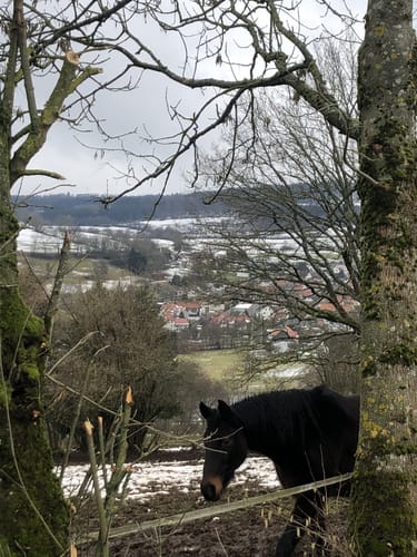 Schotten - Rudingshain - Michelbach Runde