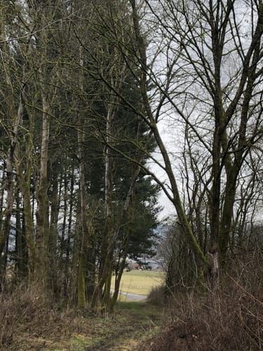 Schotten - Rudingshain - Michelbach Runde