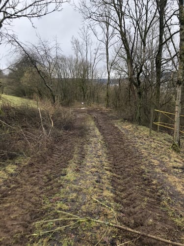 Schotten - Rudingshain - Michelbach Runde