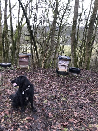 Schotten - Rudingshain - Michelbach Runde