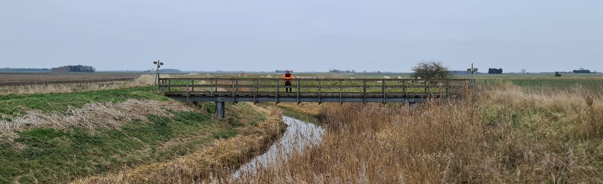 Heckington Fen Walk 71 foto's Lincolnshire, Engeland AllTrails