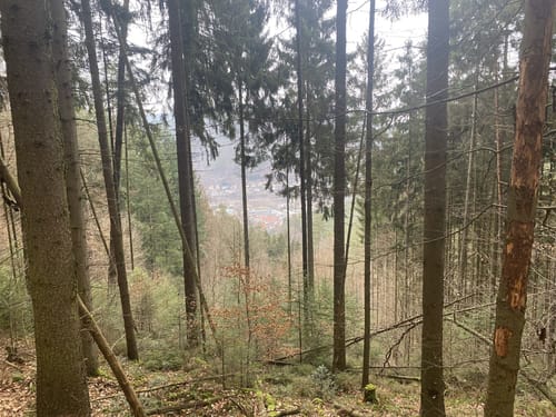 Heidenbrunnertal und Lambrecht Kaisergarten