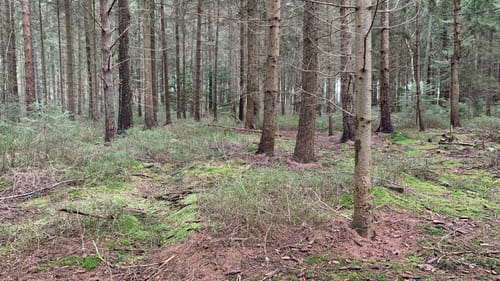 Runde um Fikensolterfeld