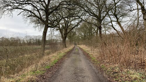 Runde um Fikensolterfeld