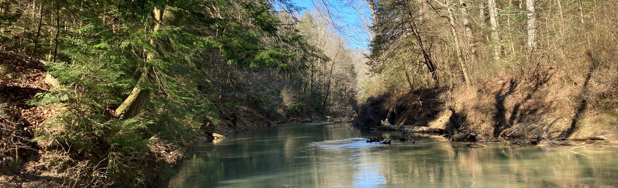 Bunyan Hill Wild Horse/Wagon Trail Loop, Alabama 106 Reviews, Map