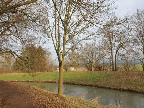 Entlang der Nidda zwischen Bad Vilbel und Okarben