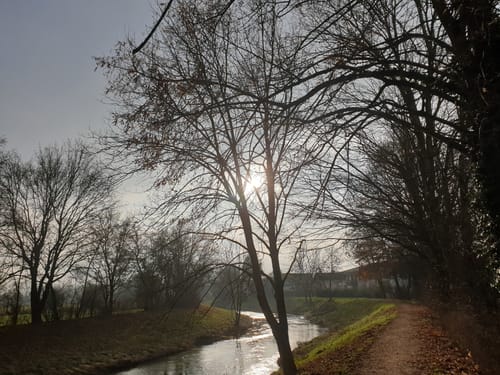 Entlang der Nidda zwischen Bad Vilbel und Okarben