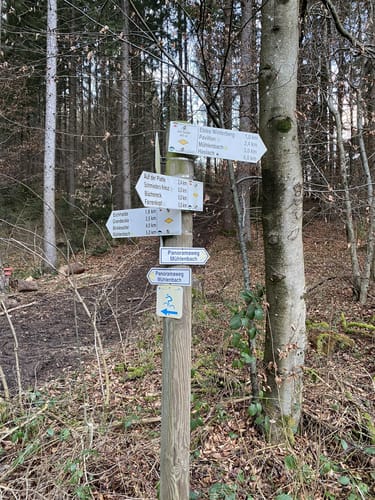 Panoramaweg Mühlenbach (Kleine Runde)