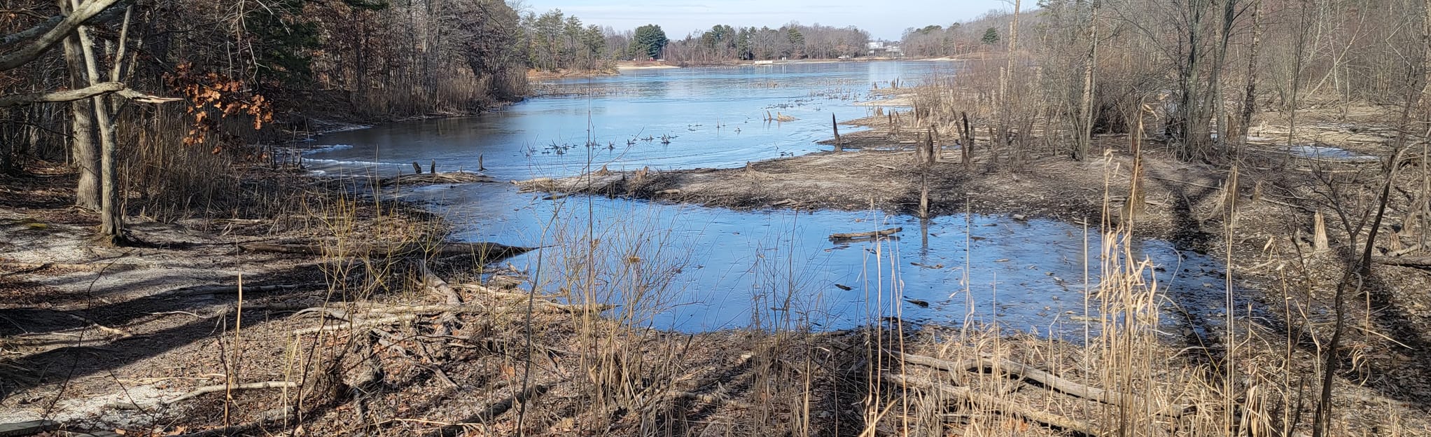 South Vineland Park Loop 60 Reviews, Map New Jersey AllTrails