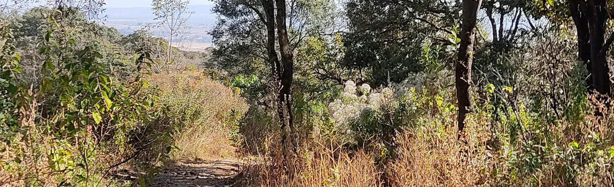 Cerro Gordo Jalisco, Jalisco, Mexico Map, Guide AllTrails