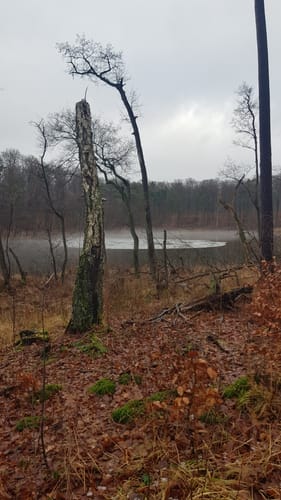 Um den Bachsee