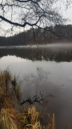 Um den Bachsee