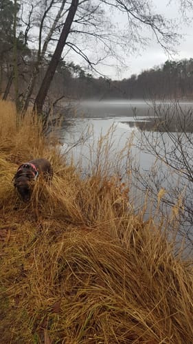 Um den Bachsee