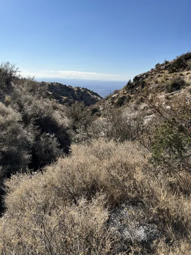 9 Beautiful Hiking Trails in Albuquerque for All Levels (+ Map)