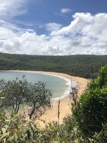 10 Best Trails and Hikes in Central Coast AllTrails