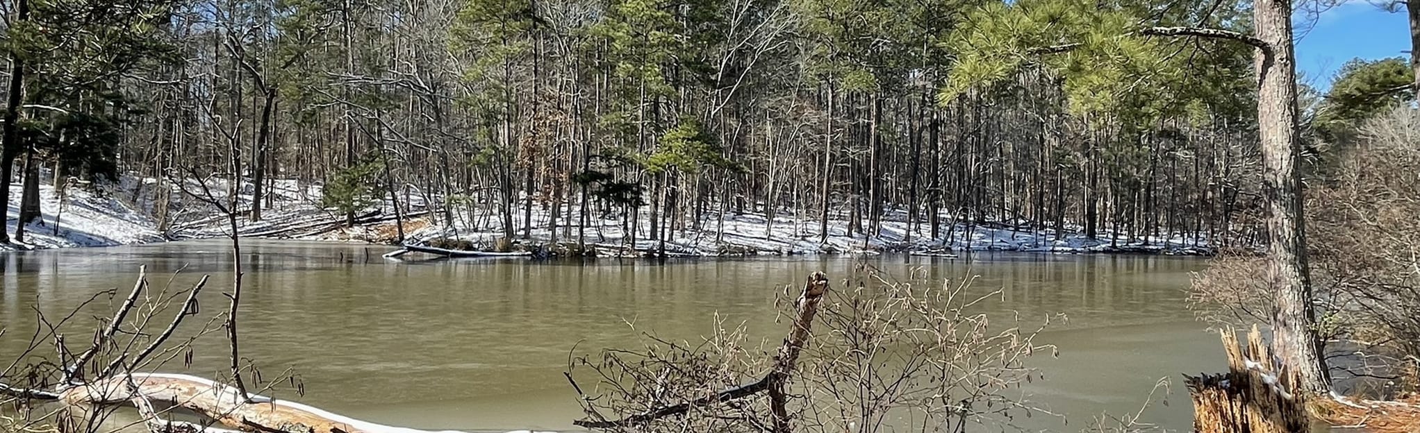 Twin Lakes Nature Walk, North Carolina 12 Reviews, Map AllTrails