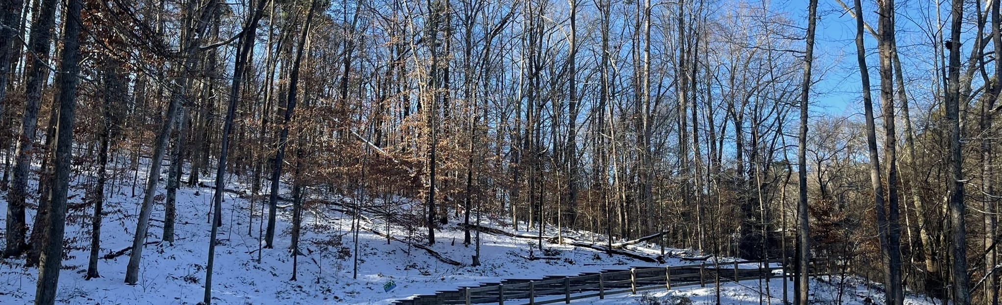 Tanyard Branch Trail 28 Reviews, Map North Carolina AllTrails