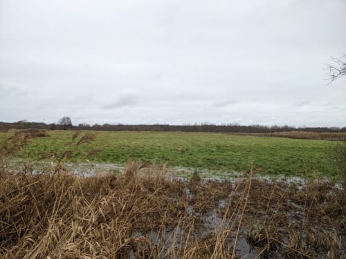 Wümme und Klosterwahrlaake ab Ottersberg