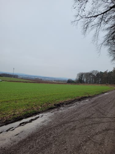 Waldstraße - Ottoshöhe
