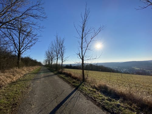 Breiter-Wald-Tour