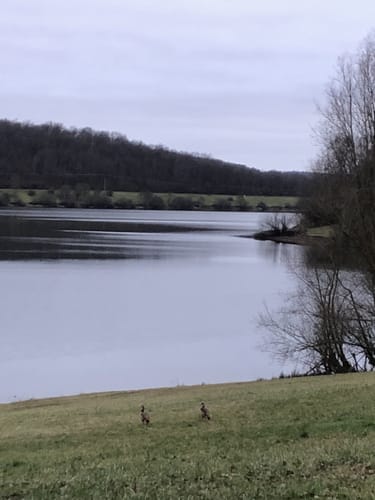 Um den Niddastausee