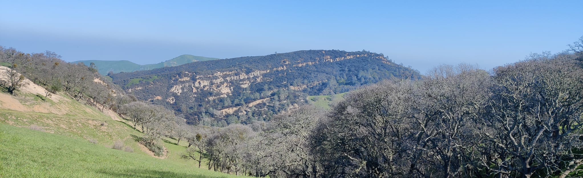 Nortonville, Coal Canyon, Black Diamond, Manhattan, and Chaparral Loop Map, Guide California