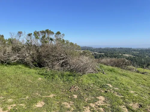 10 Best Hikes and Trails in Wilder - EyJidWNrZXQiOiJhc3NldHMuYWxsdHJhaWxzLmNvbSIsImtleSI6InVwbG9hZHMvcGhvdG8vaW1hZ2UvNDQwNTk3NDMvNTkxZTdjZTcyYWI0MzBmN2Q4ZjdkN2I3NTBmYjEwNWEuanBnIiwiZWRpdHMiOnsidG9Gb3JtYXQiOiJ3ZWJwIiwicmVzaXplIjp7IndpZHRoIjo1MDAsImhlaWdodCI6NTAwLCJmaXQiOiJpbnNpZGUifSwicm90YXRlIjpudWxsLCJqcGVnIjp7InRyZWxsaXNRdWFudGlzYXRpb24iOnRydWUsIm92ZXJzaG9vdERlcmluZ2luZyI6dHJ1ZSwib3B0aW1pc2VTY2FucyI6dHJ1ZSwicXVhbnRpc2F0aW9uVGFibGUiOjN9fX0=